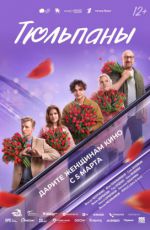 Тюльпаны Тюльпаны