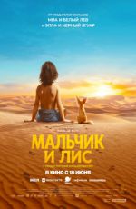 Мальчик и лис Мальчик и лис