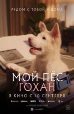 Мой пес Гохан Мой пес Гохан